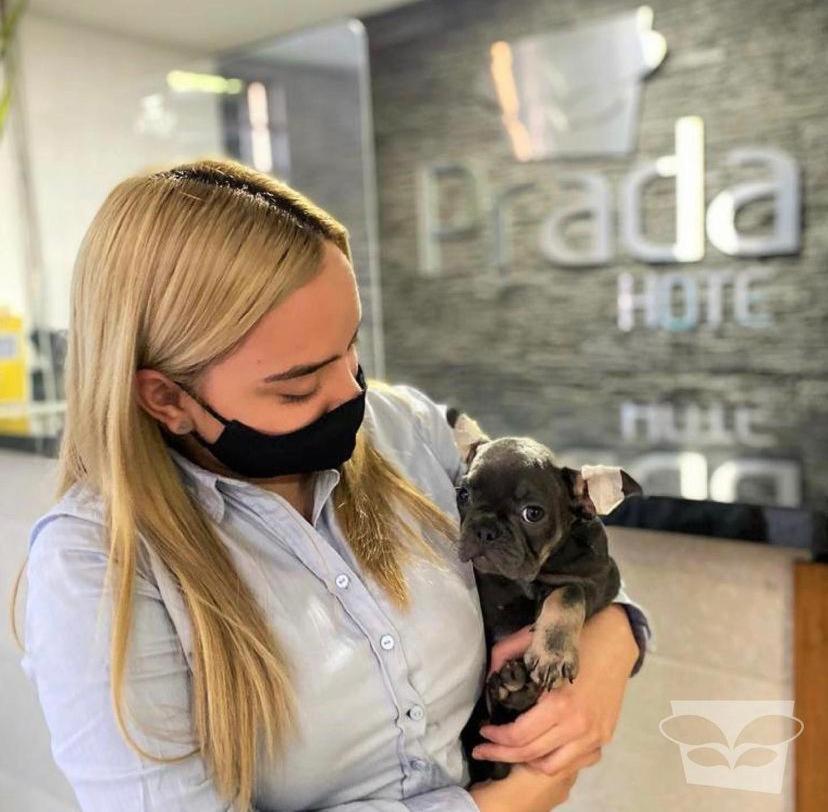 Hotel Prada Sas Bello Buitenkant foto